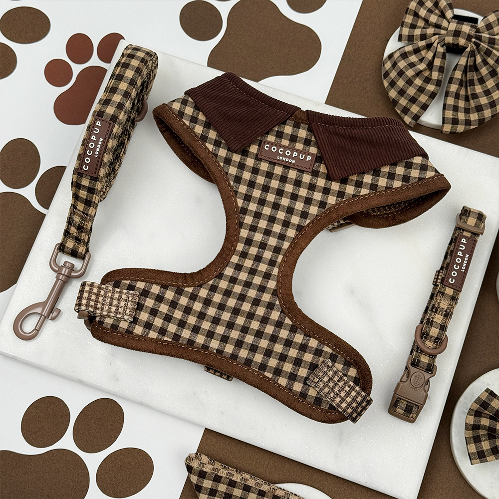 Cotswold Check Adjustable Neck Harness, Lead & Collar Bundle