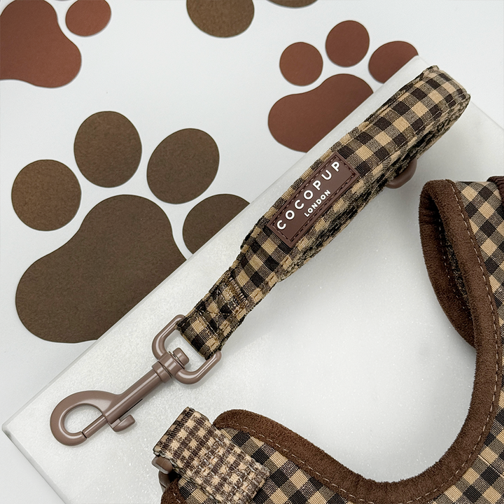 Cotswold Check Adjustable Neck Harness, Lead & Collar Bundle