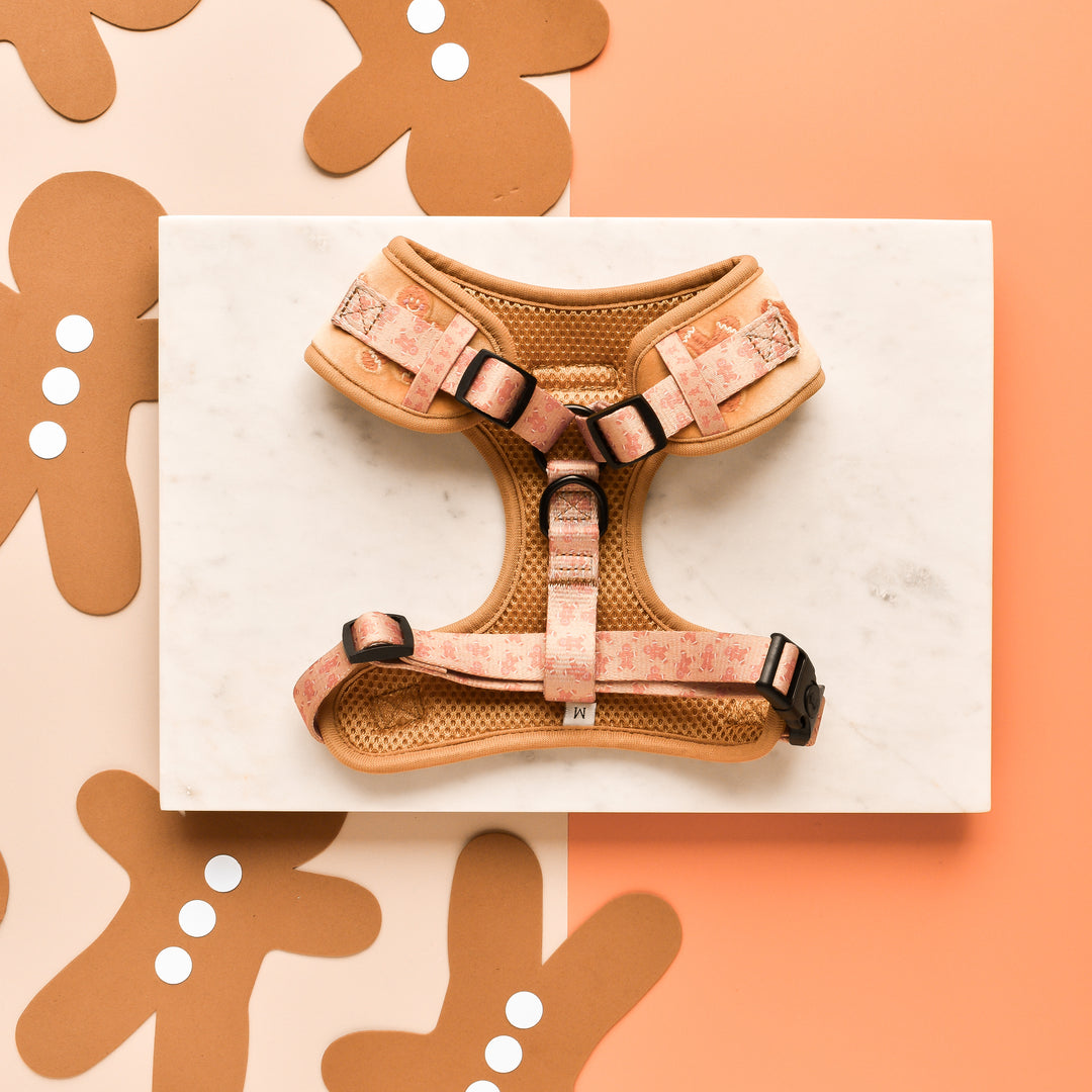 Luxe Velvet Adjustable Neck Harness - Gingerbread Treats