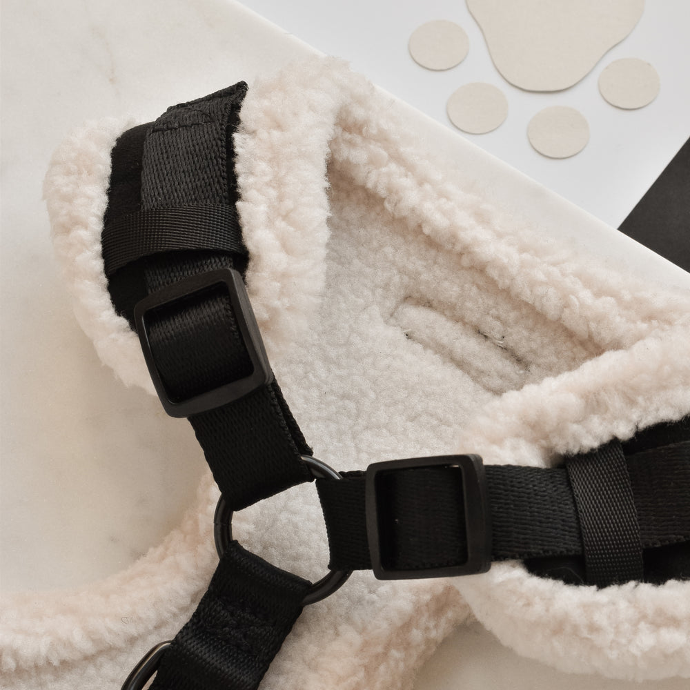 Close-up of a fluffy, cream-colored Black Aviator Adjustable Neck Harness by Cocopup London, featuring black straps and a fully adjustable chest strap, lying on a white surface. In the background, there is a faint outline of a paw print.