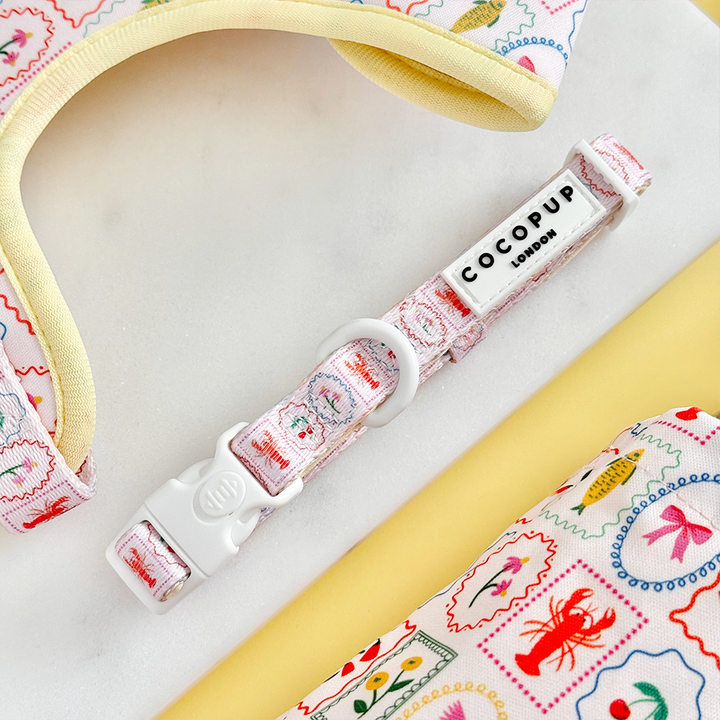 Dolce Vita Adjustable Neck Harness, Lead & Collar Bundle