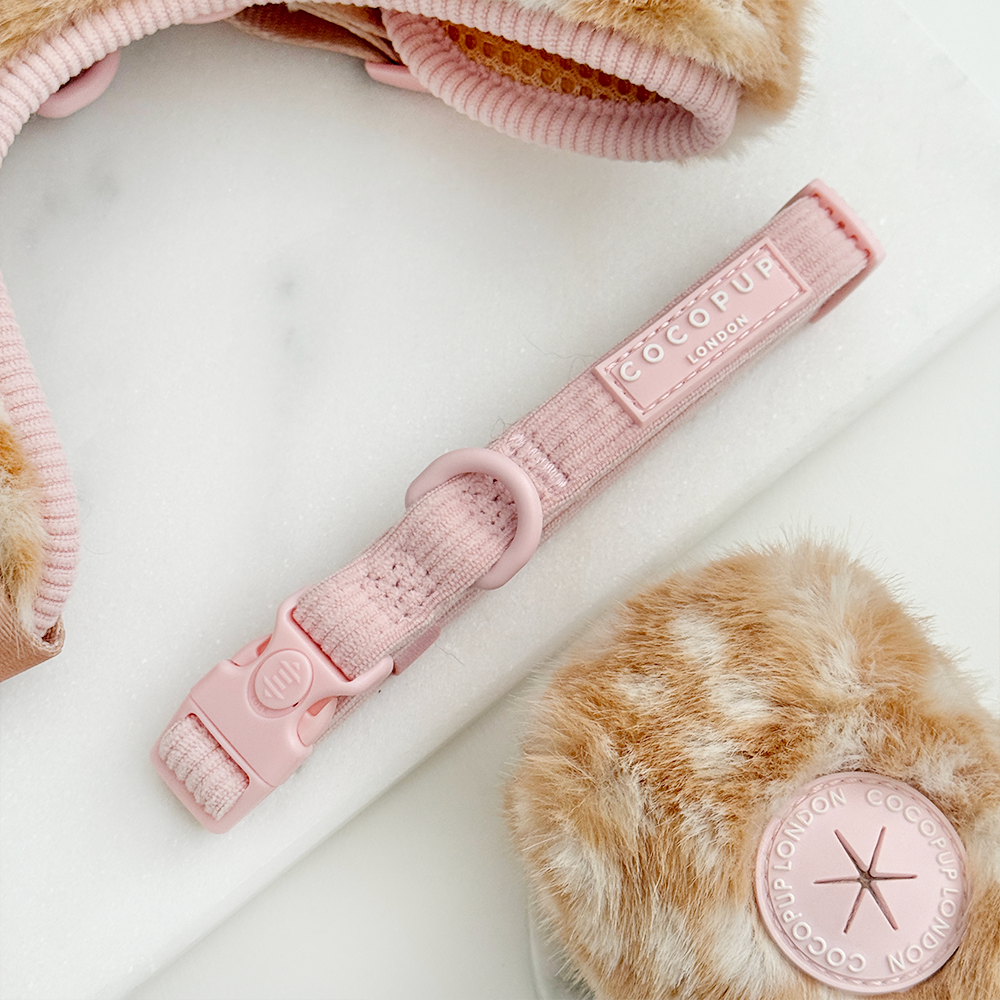 Pink ribbed dog collar.