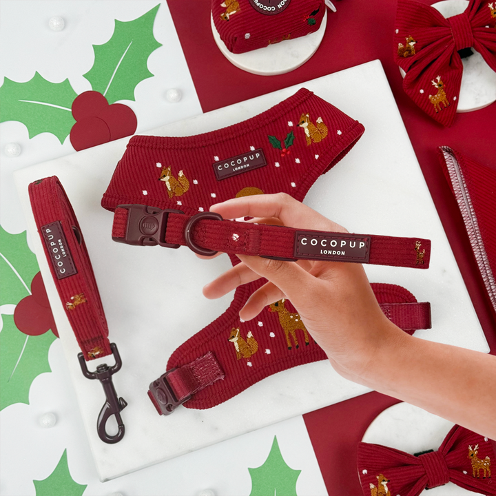 Holly Jolly Trails COLLAR