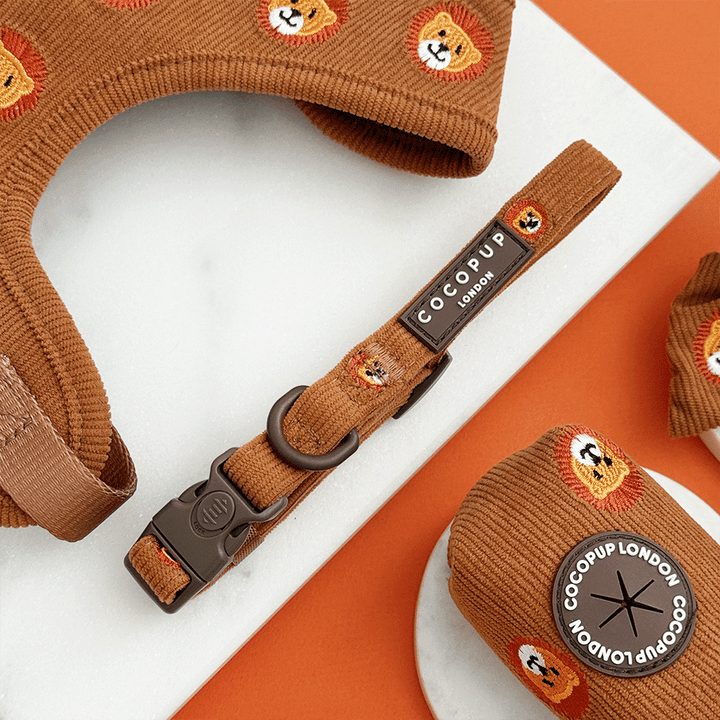 Leo the Lion Adjustable Neck Harness, Lead & Collar Bundle