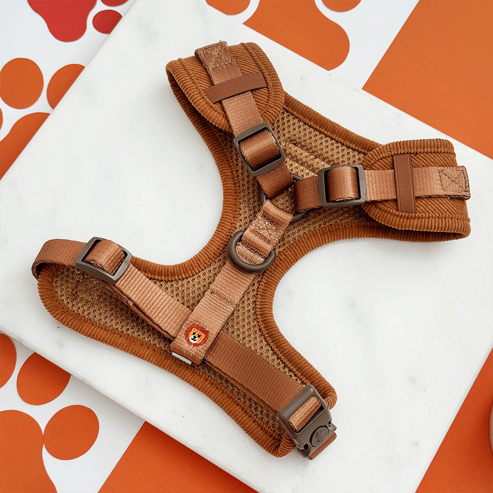 Leo the Lion Adjustable Neck Harness, Lead & Collar Bundle