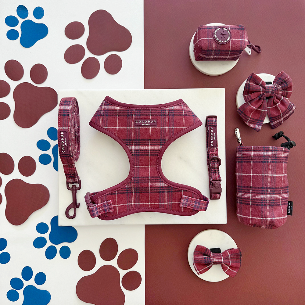 Mulberry Plaid Adjustable Neck Harness, Lead & Collar Bundle