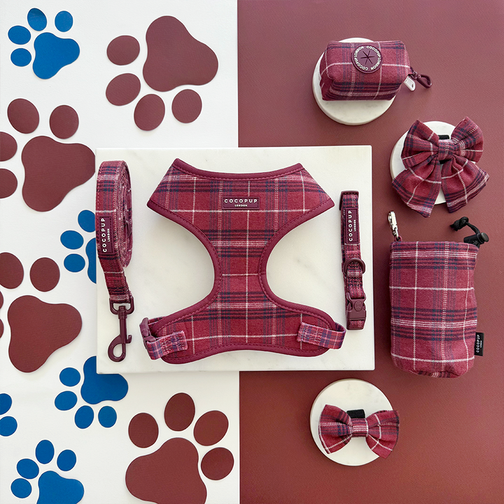 Mulberry Plaid Adjustable Neck Harness, Lead & Collar Bundle