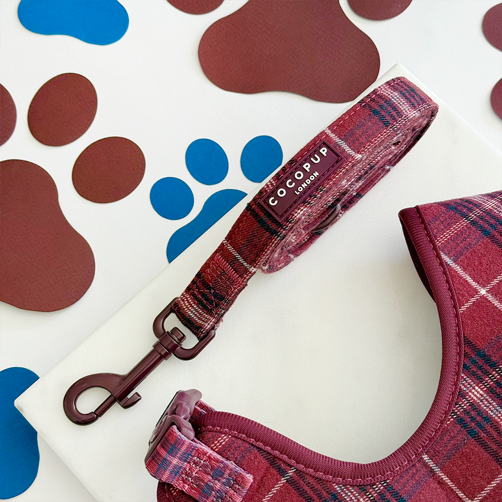 Mulberry Plaid Adjustable Neck Harness, Lead & Collar Bundle