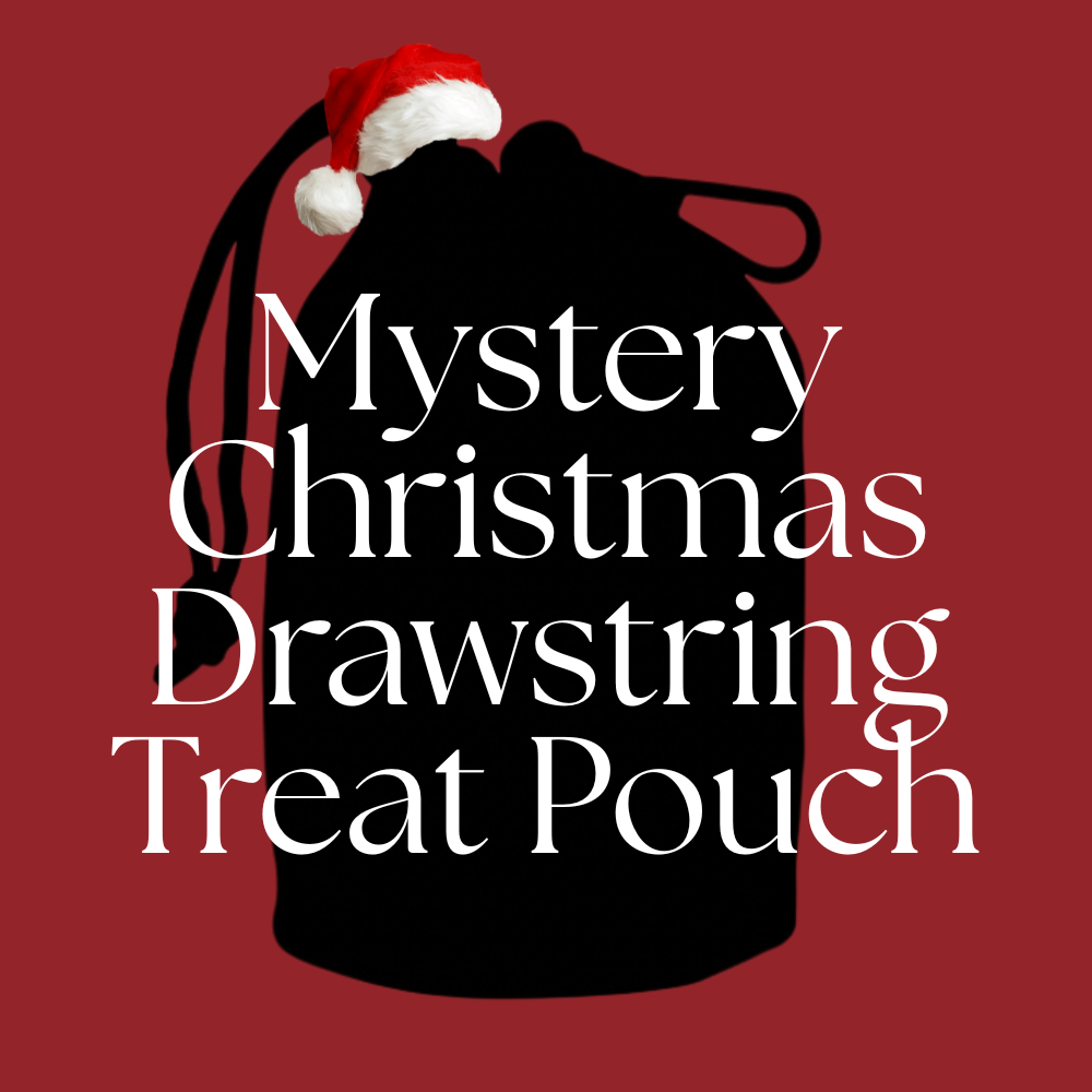 Christmas Mystery Drawstring Treat Pouch
