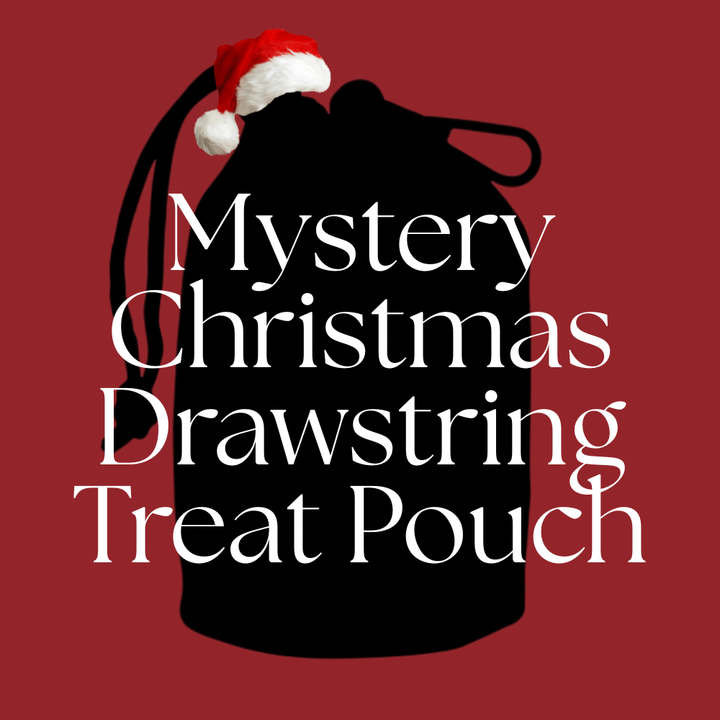 Christmas Mystery Drawstring Treat Pouch