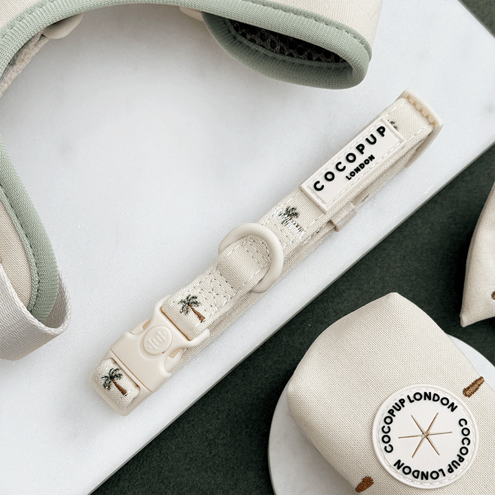 Palm Springs COLLAR