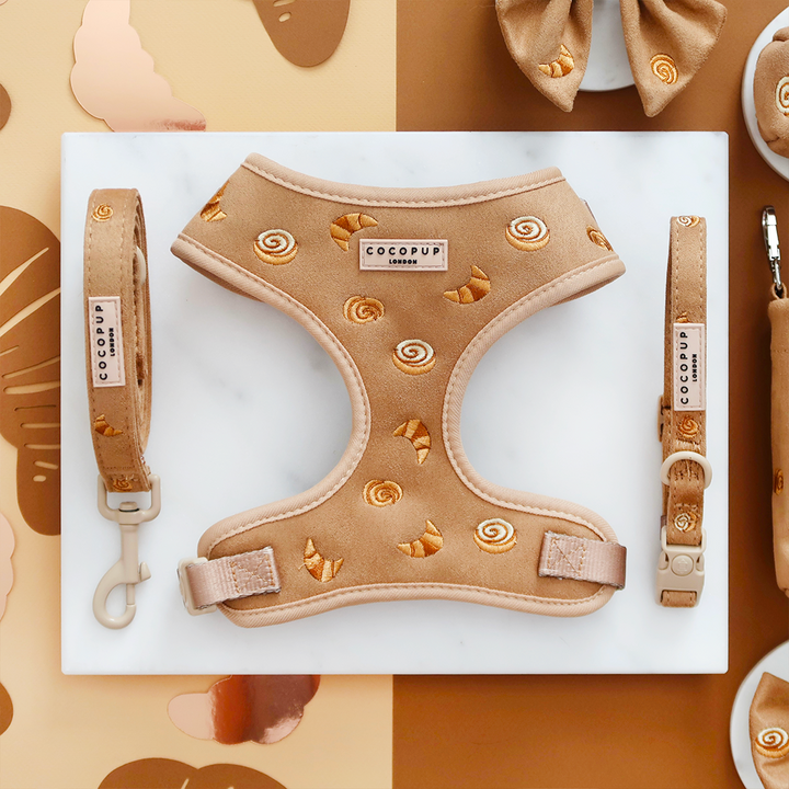 Pawtisserie Adjustable Neck Harness, Lead & Collar Bundle