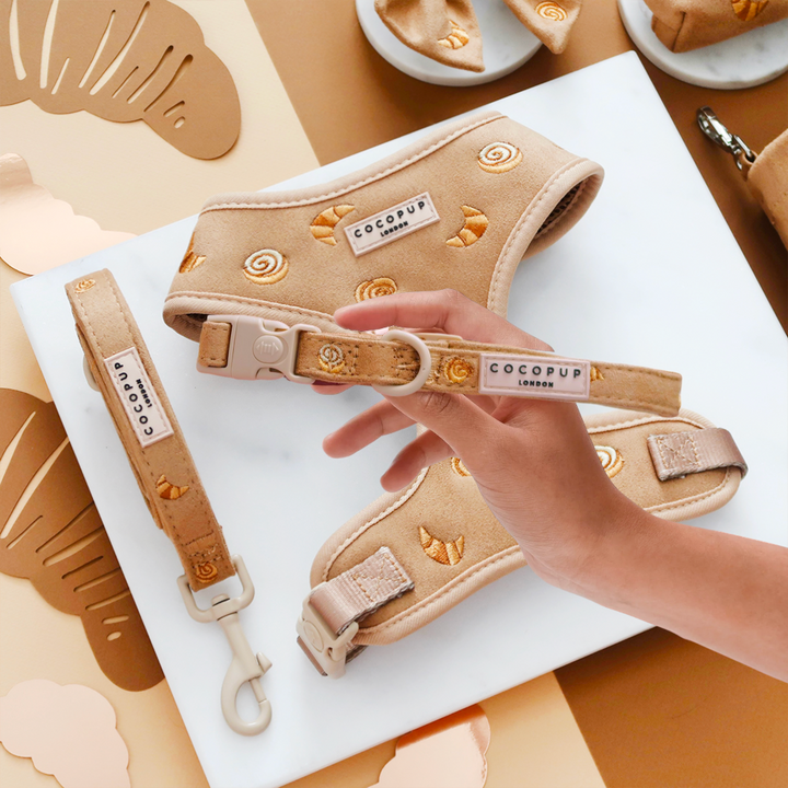 Pawtisserie Adjustable Neck Harness, Lead & Collar Bundle