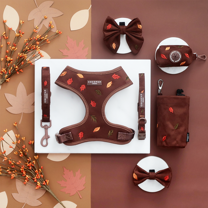 Pawtumn Leaves Adjustable Neck Harness, Lead & Collar Bundle