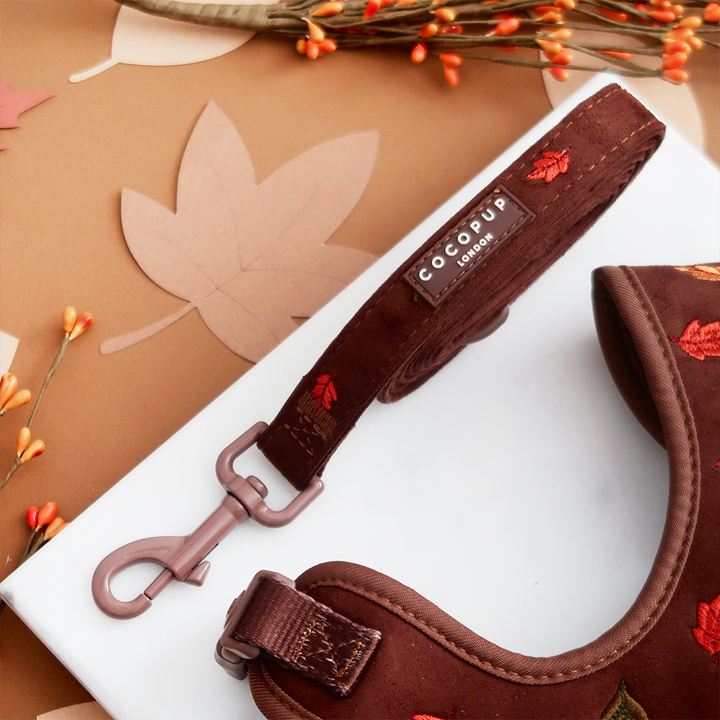 Pawtumn Leaves Adjustable Neck Harness, Lead & Collar Bundle