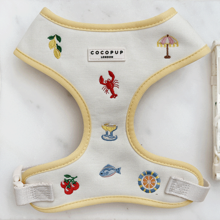 White linen fabric Dog Harness with summer embroidered embellishments and yellow trim.