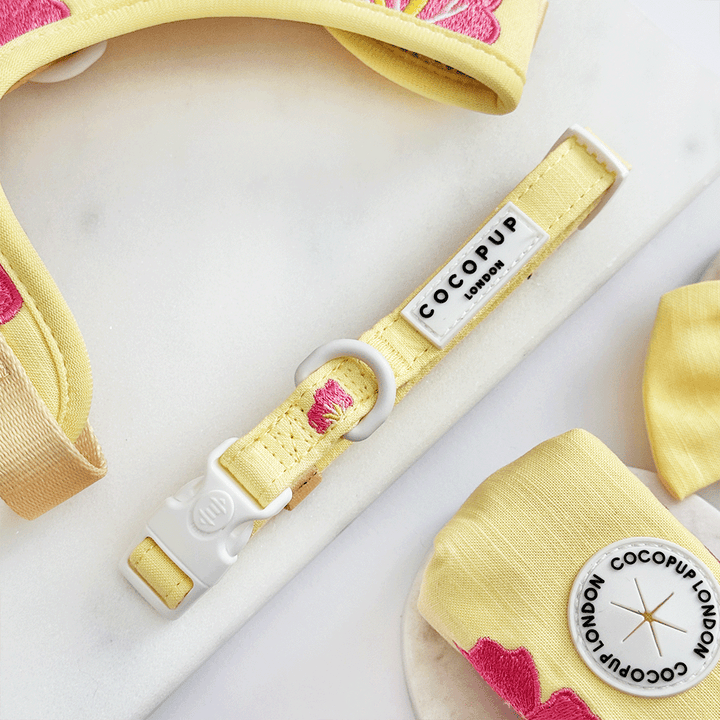 Pink Hibiscus COLLAR