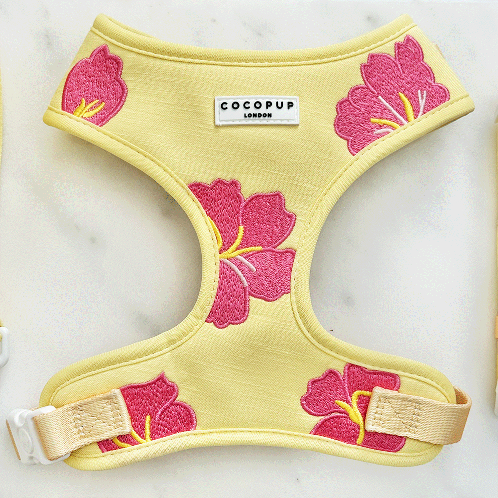 Pink Hibiscus Adjustable Neck Harness, Lead & Collar Bundle