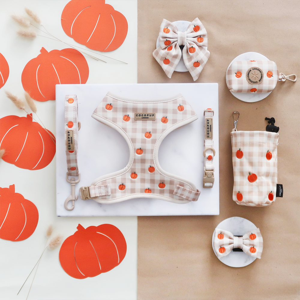 Pumpkin Patch Adjustable Neck HARNESS