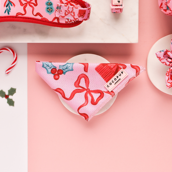 Christmas Mystery Bandana