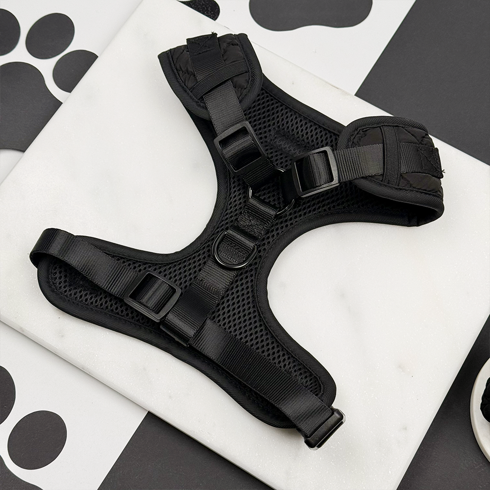 Onyx Quilted Adjustable Neck HARNESS