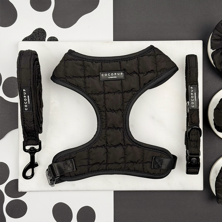 Onyx Quilted Adjustable Neck Harness, Lead & Collar Bundle