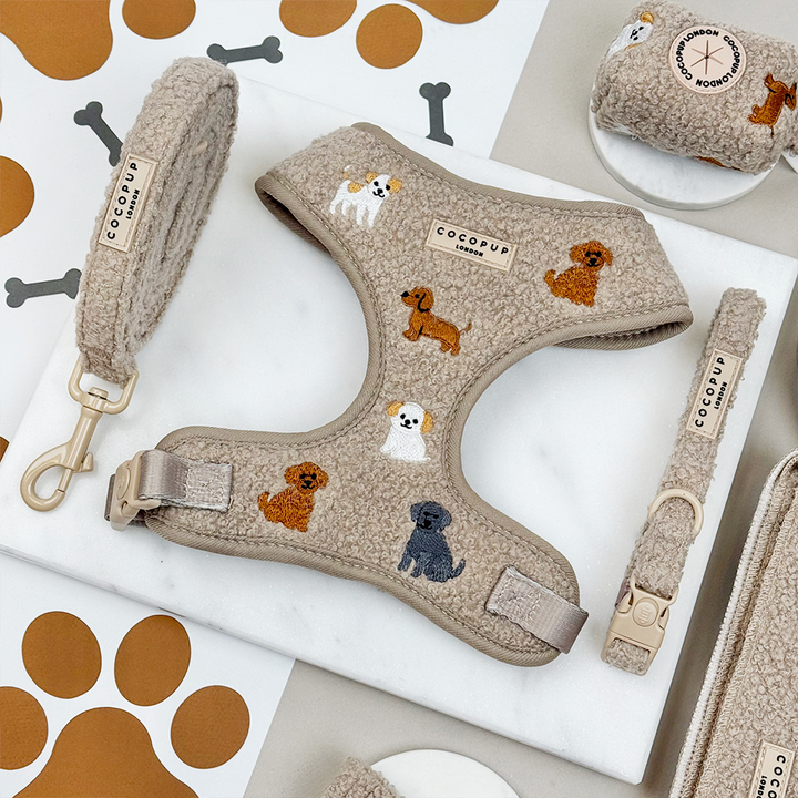 Ralph & Friends Mocha Teddy Adjustable Neck Harness, Lead & Collar Bundle