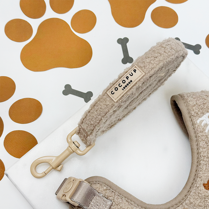 Ralph & Friends Mocha Teddy Adjustable Neck Harness, Lead & Collar Bundle