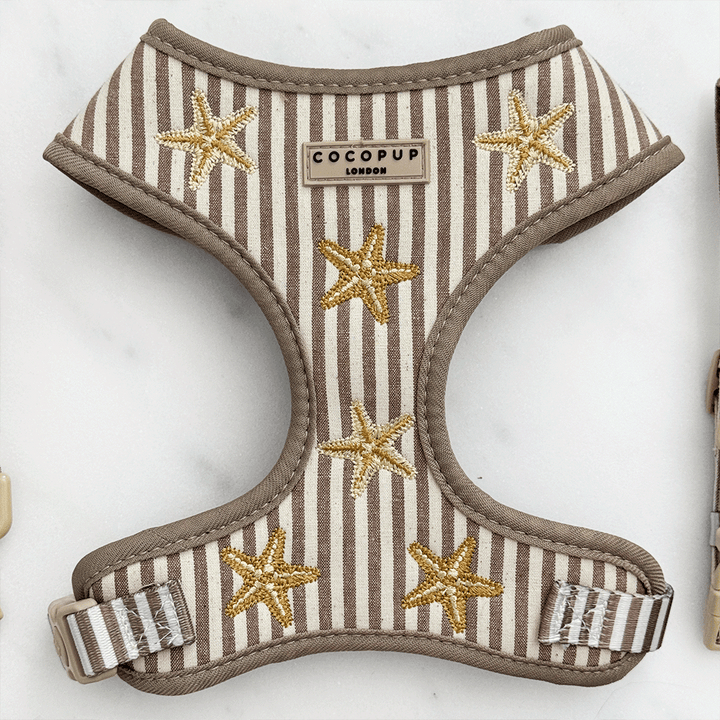 Sandy Starpaws Adjustable Neck HARNESS
