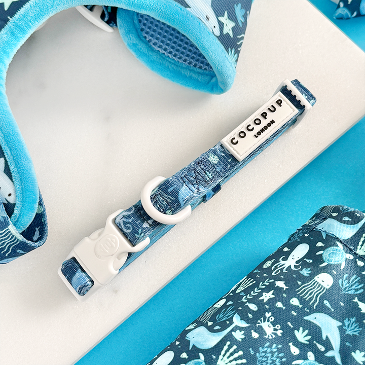 Sea Life Pawty COLLAR