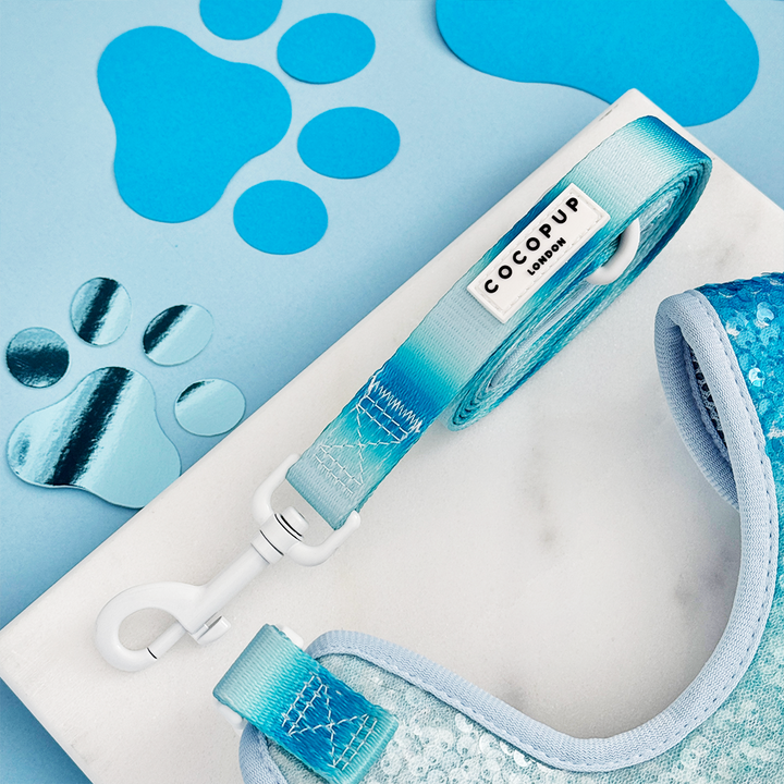 Seaside Shimmer Adjustable Neck Harness, Lead & Collar Bundle