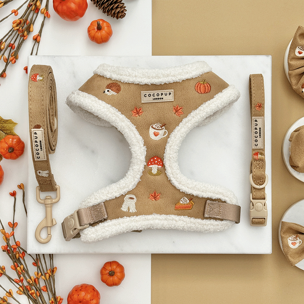 Brown dog harness with white sherpa trim and autumnal-themed embroidery of pumpkins, leaves, a coffee cup, and mushrooms, shown with matching lead and collar.