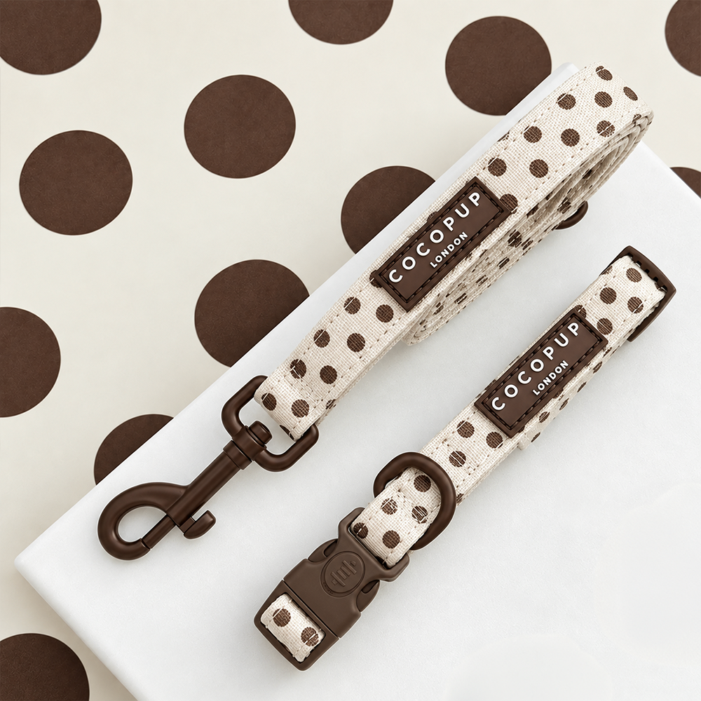 Tiramisu Collar & Lead Bundle
