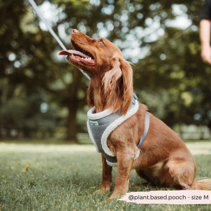 Grey Aviator Adjustable Neck Harness