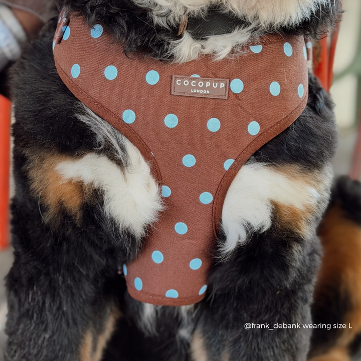 A close-up of a dog wearing a brown pet harness with light blue polka dots. The harness has a central brand label that reads 'COCOPUP LONDON'.