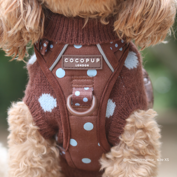 A close-up of a small brown dog wearing a brown knit sweater with light blue polka dots and a matching harness. The harness has a central label that reads 'COCOPUP LONDON'.