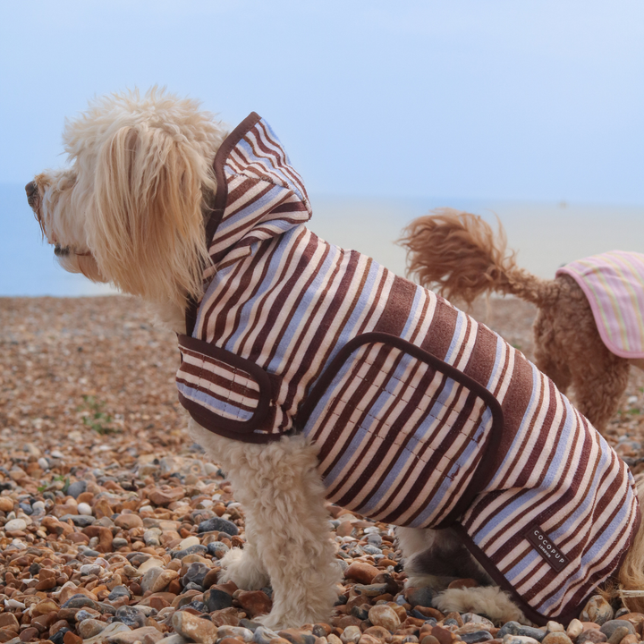 Brown & Blue Stripes Drying Robe