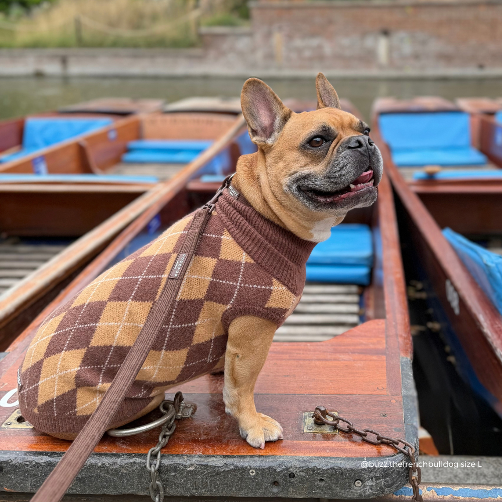 french bulldog on a boat wearing Dog jumper in a brown, tan, and white argyle pattern. 