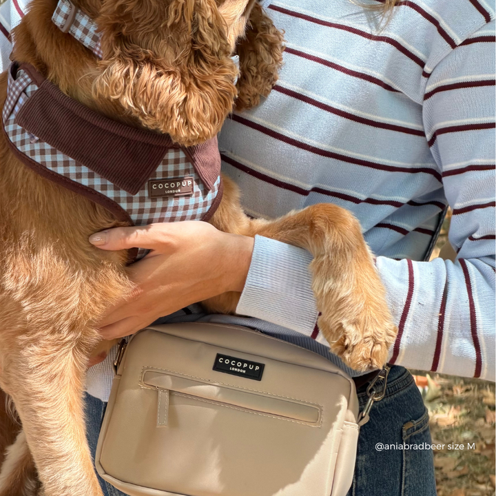 A tan dog wearing a brown and blue gingham harness with a dark brown collar, held by a person wearing a white and blue and brown striped sweater. The person is also wearing a beige crossbody bag with a black COCOUPUS logo patch.