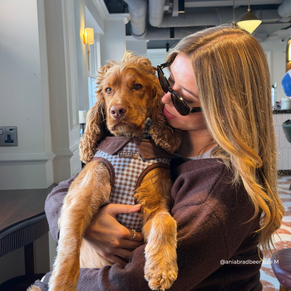 A woman wearing sunglasses and a brown sweater holds a golden-colored dog in a cafe setting. The dog is wearing a brown and blue gingham harness.