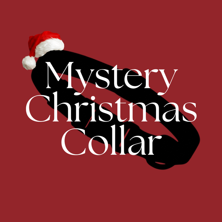 Christmas Mystery COLLAR
