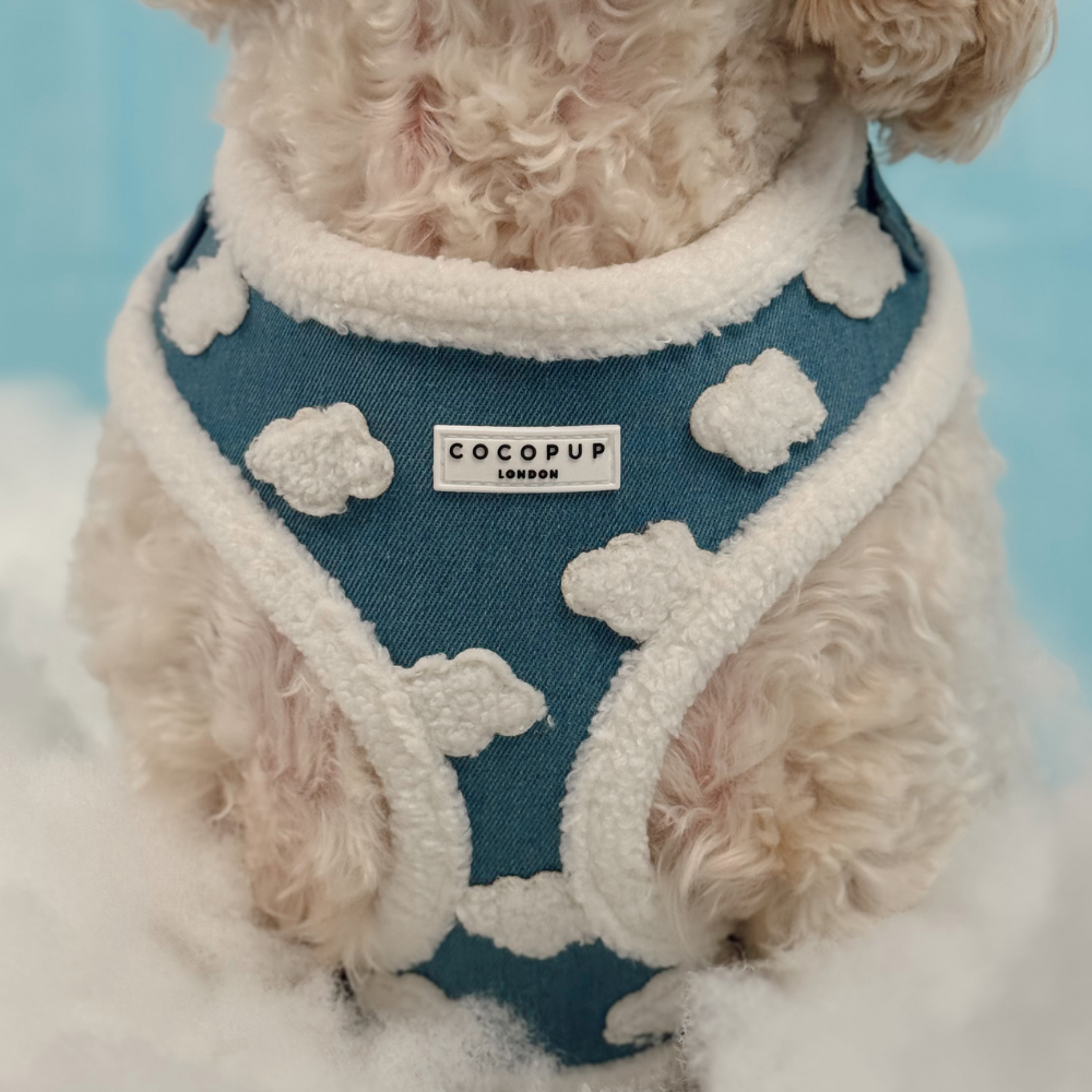 Cloud Nine Adjustable Neck Harness, Lead & Collar Bundle