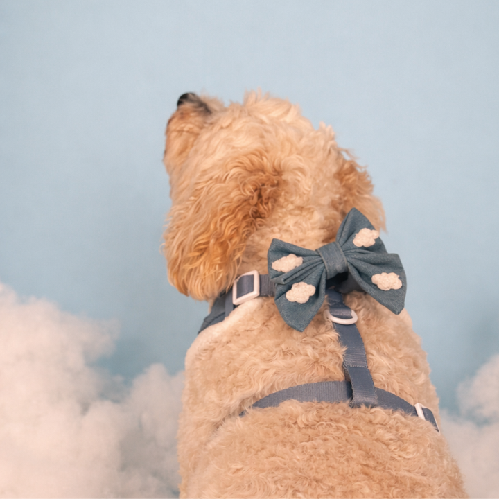 Cloud Nine Sailor Bow Tie