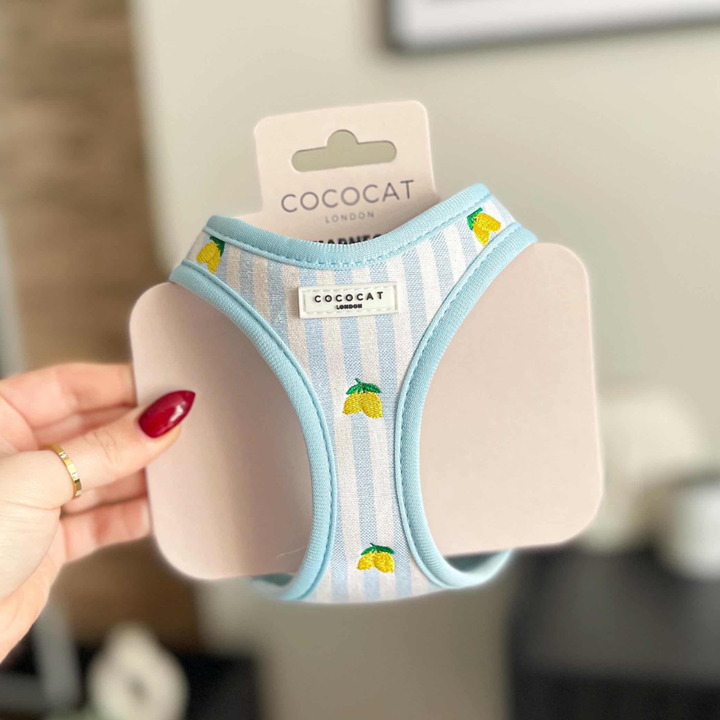 Cat Harness - Living La Vida Lemon