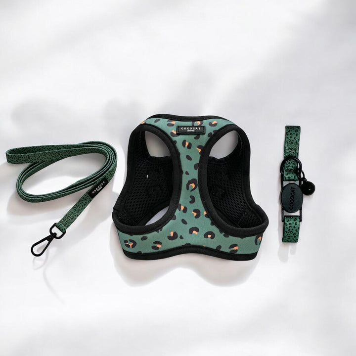 Cat Harness, Lead and Collar Bundle - Khaki Leopard