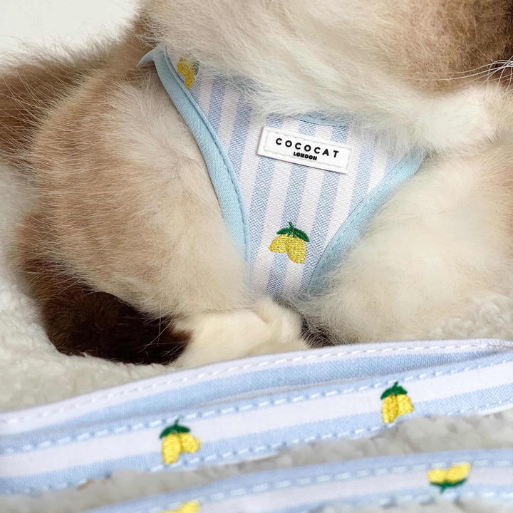 Cat Harness - Living La Vida Lemon