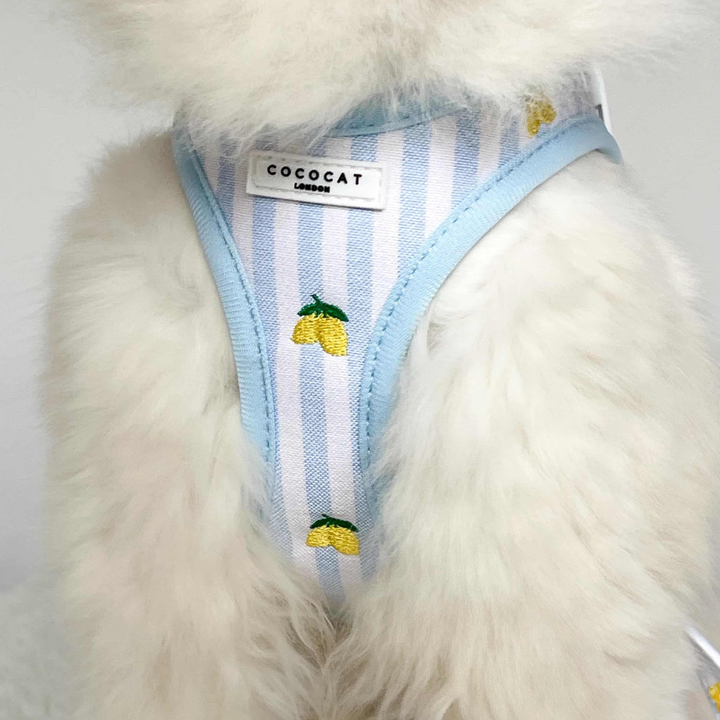 Cat Harness - Living La Vida Lemon