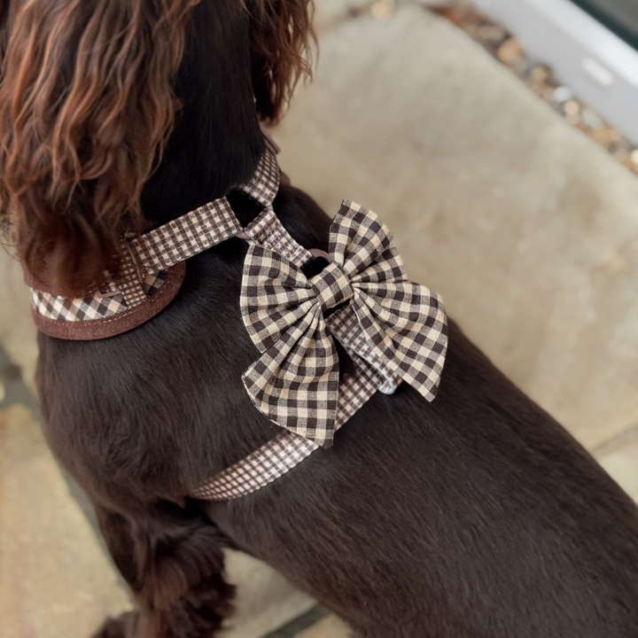 Cotswold Check Sailor Bow Tie