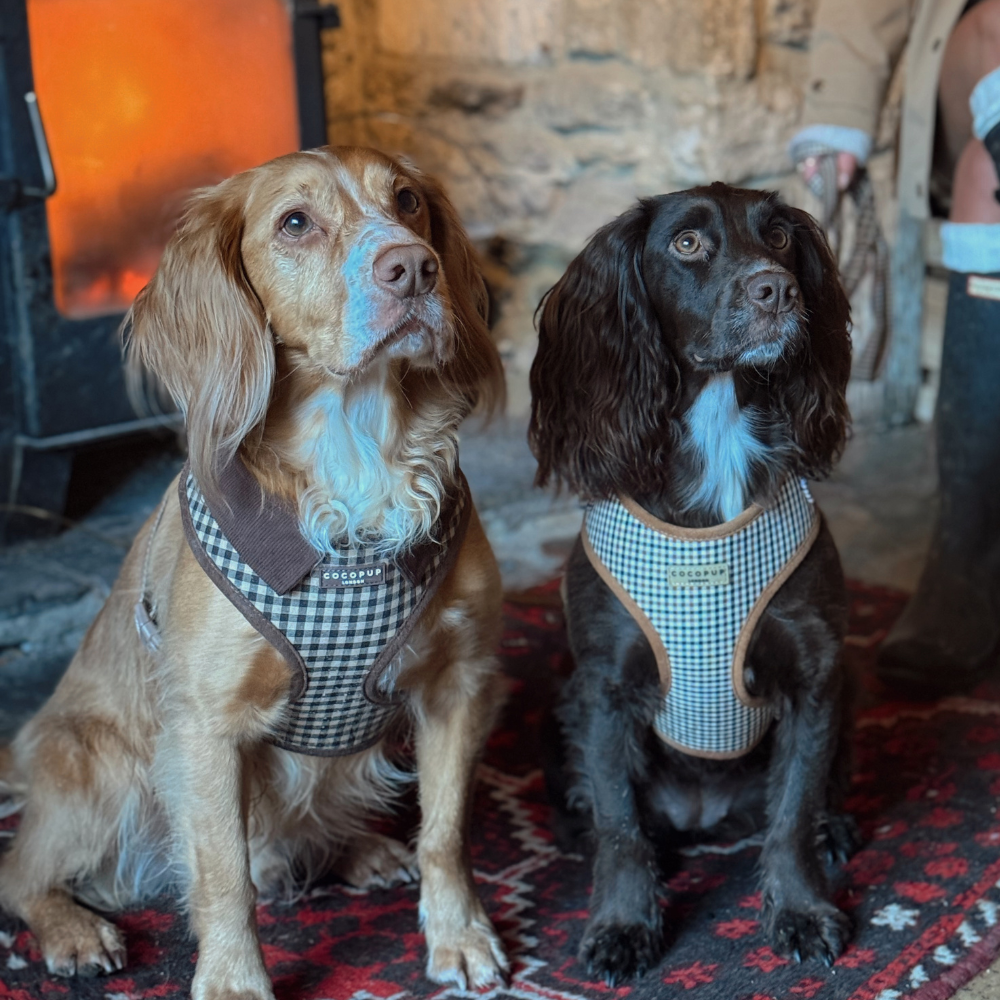 Cotswold Check Adjustable Neck HARNESS