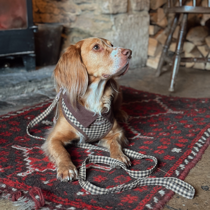 Cotswold Check Lead